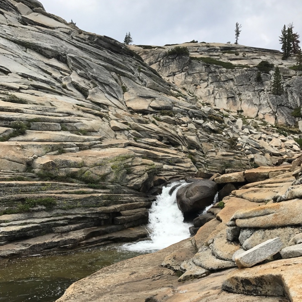 Meet your Posher, Scott